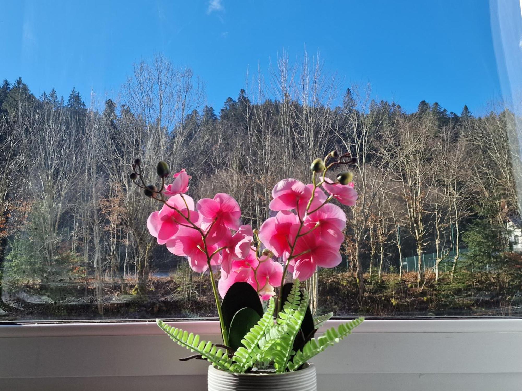 Holiday Apartment Near Triberg Waterfall Triberg im Schwarzwald ภายนอก รูปภาพ
